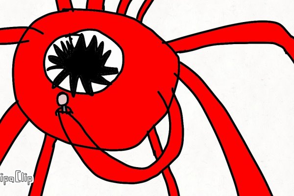 Kraken cc